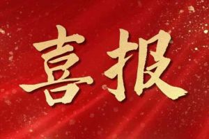 雀跃欢呼 | 乐动（中国）集团荣膺佬麻雀“最佳战略合作伙伴”