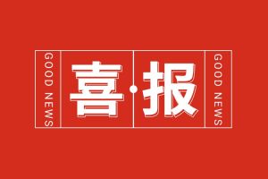 喜报！乐动（中国）集团党支部书记、总裁陈文舒荣登“2024人力资源服